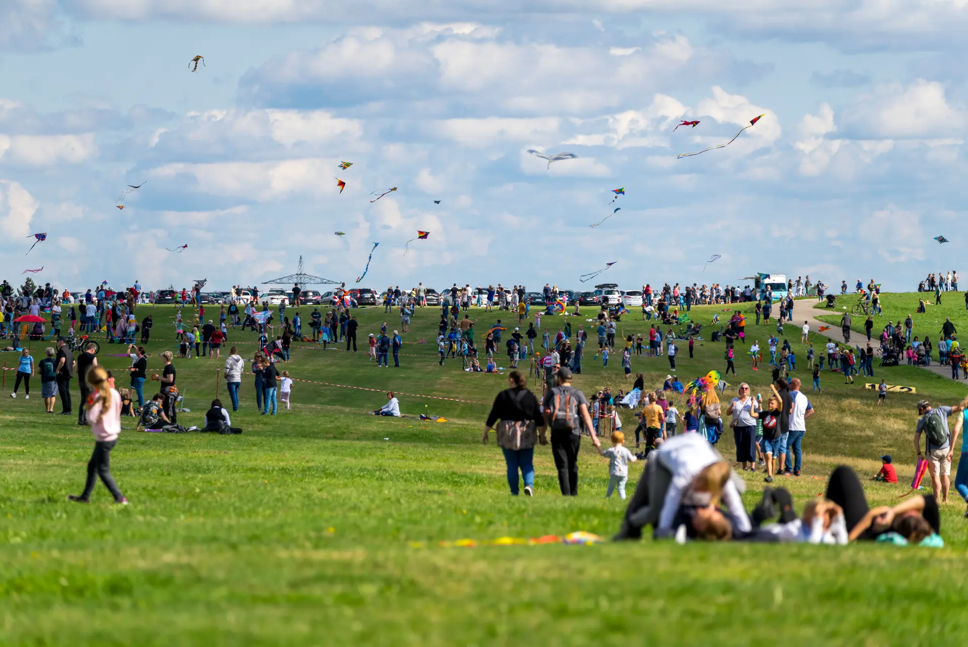 Besucher und Drachen auf der Wiese beim Flugplatzfest