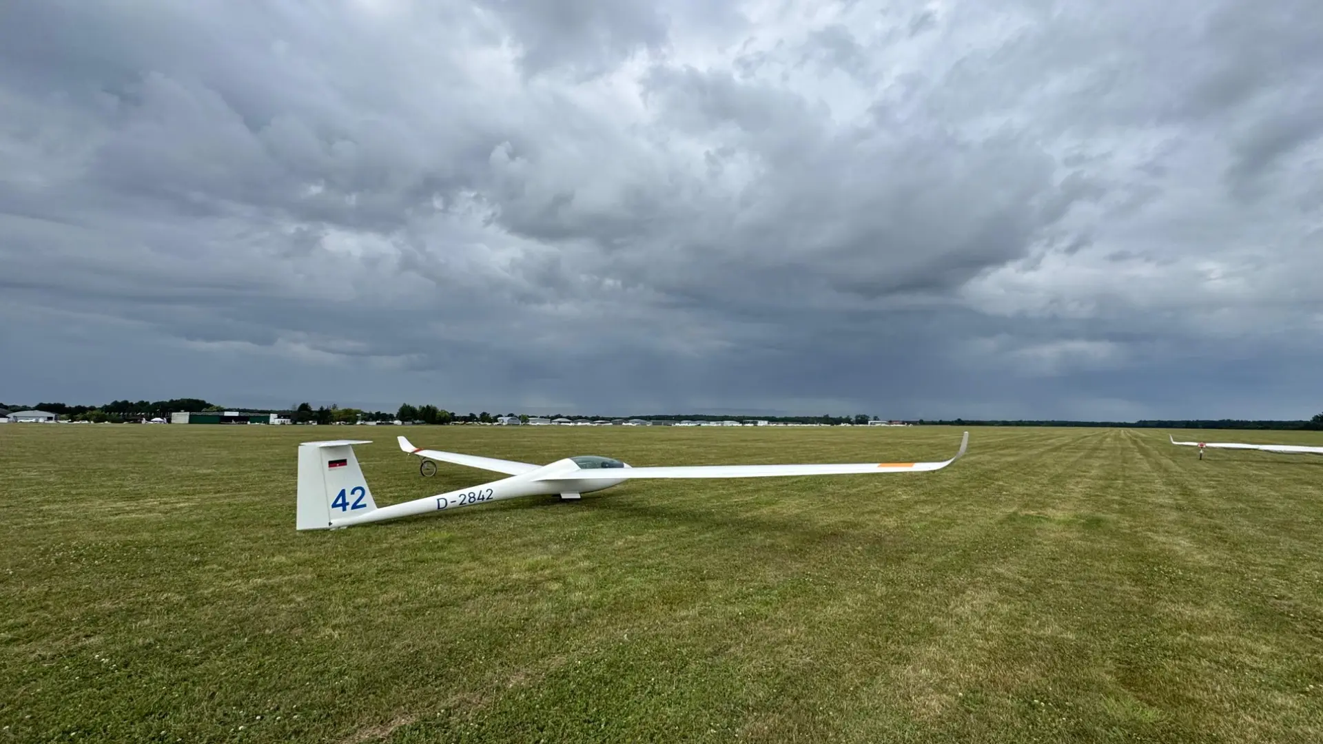 LS-8 (D-2842)